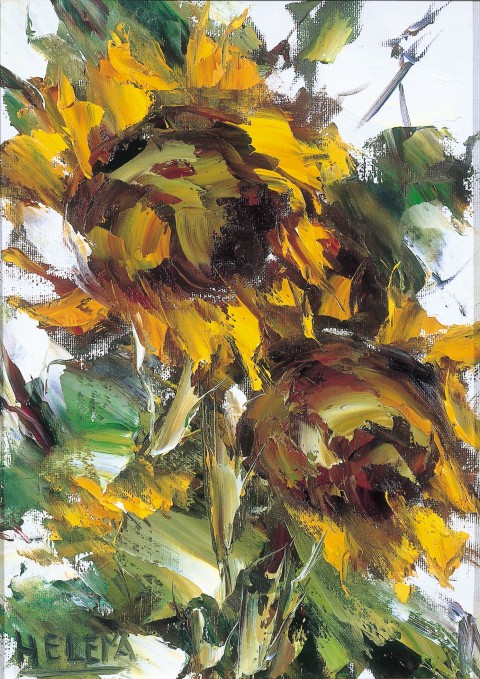 DOS GIRASOLES